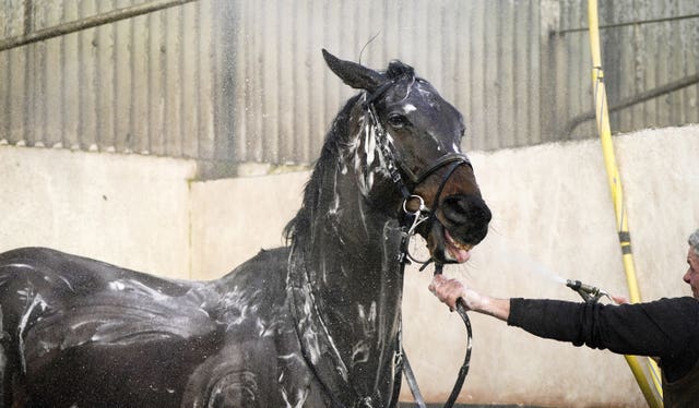Conflated is hosed down during a visit to Gordon Elliott’s yard 