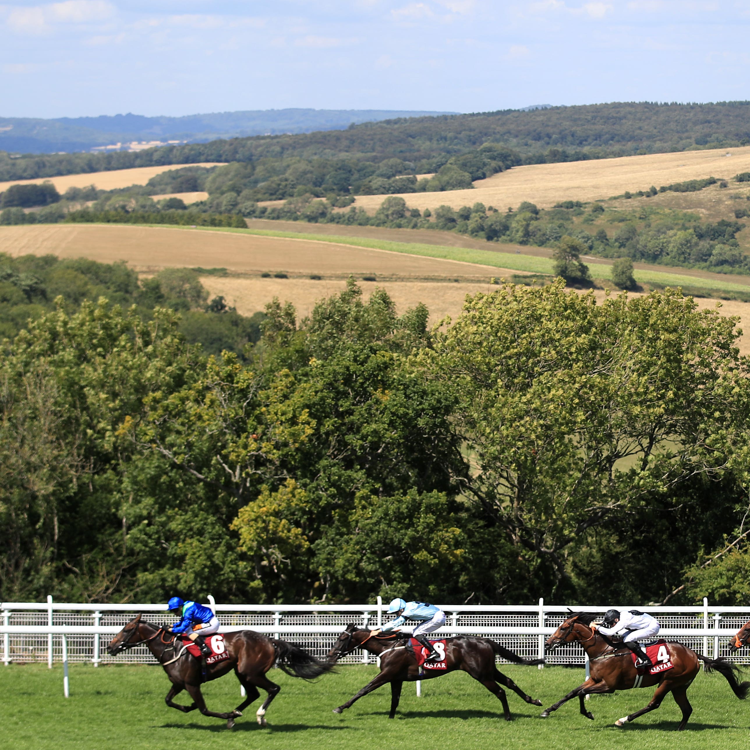 Connections of Dark Vision are hoping he can return to the level of form he showed at Goodwood