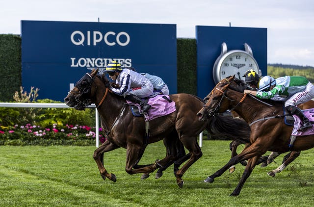 Albasheer winning at Ascot last Saturday 