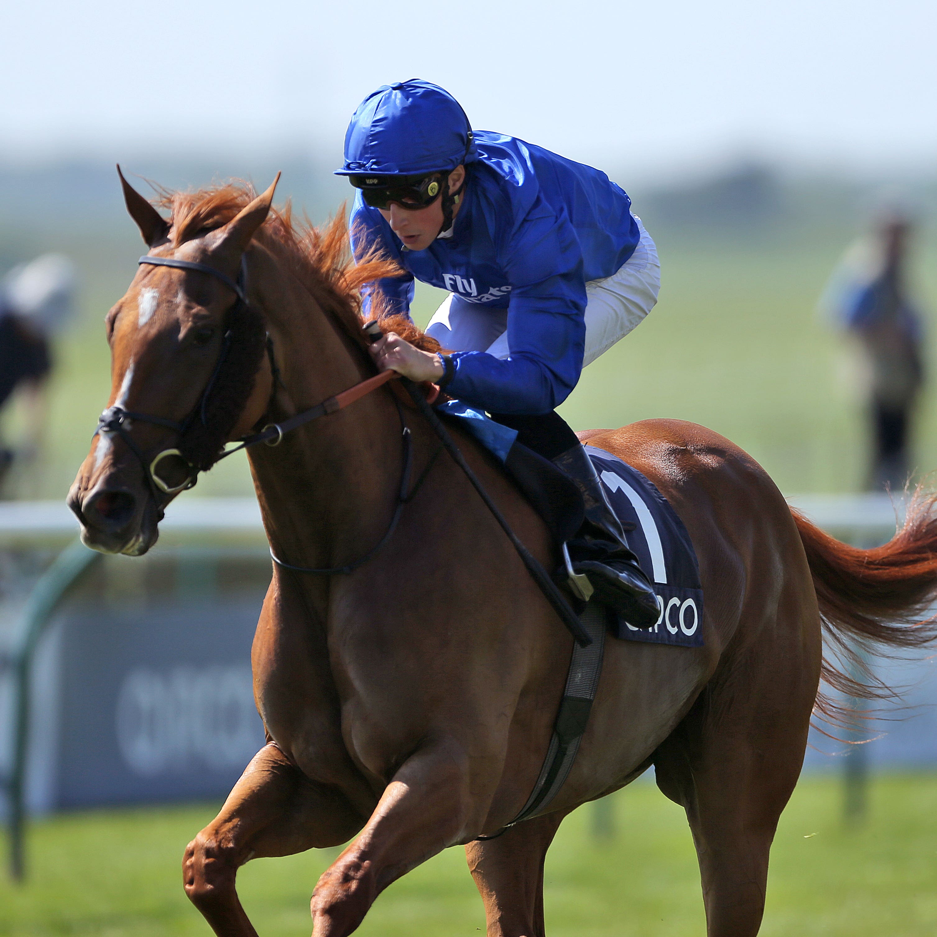 Time has been called on the decorated career of Wuheida (Tim Goode/PA)