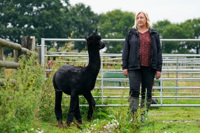 Geronimo's owner Helen Macdonald wants further tests on him to be carried out (Jacob King/PA)