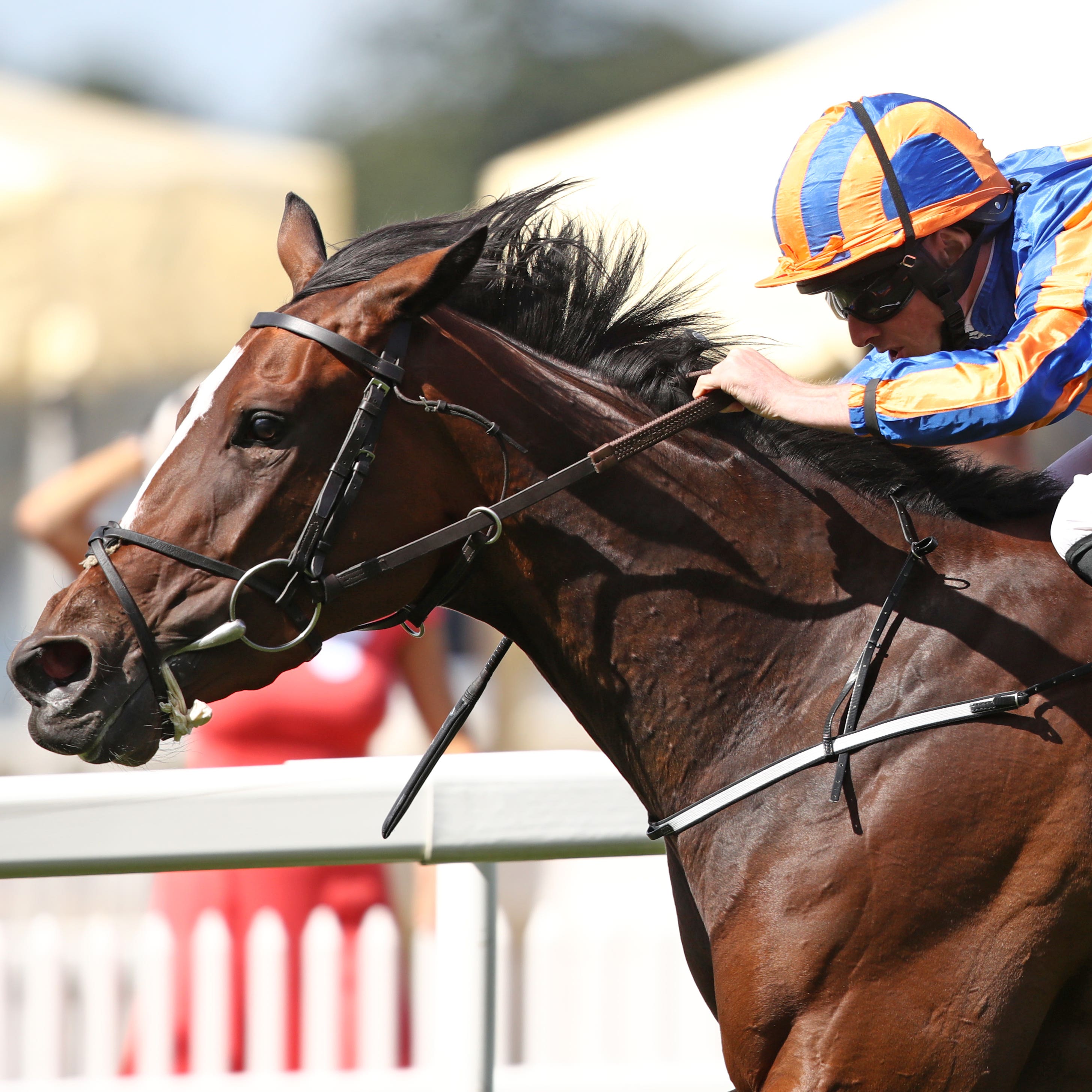 Magic Wand, who disappointed in the Irish Oaks
