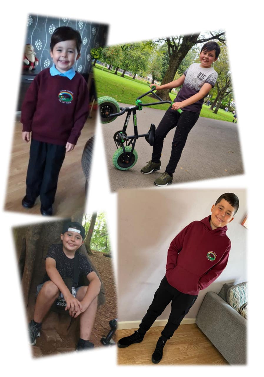 Pair admit being in charge of dog that killed 10yearold boy