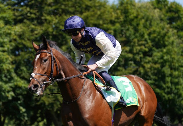 Royal Fixation goes to post before the Duchess Of Cambridge Stakes at Newmarket