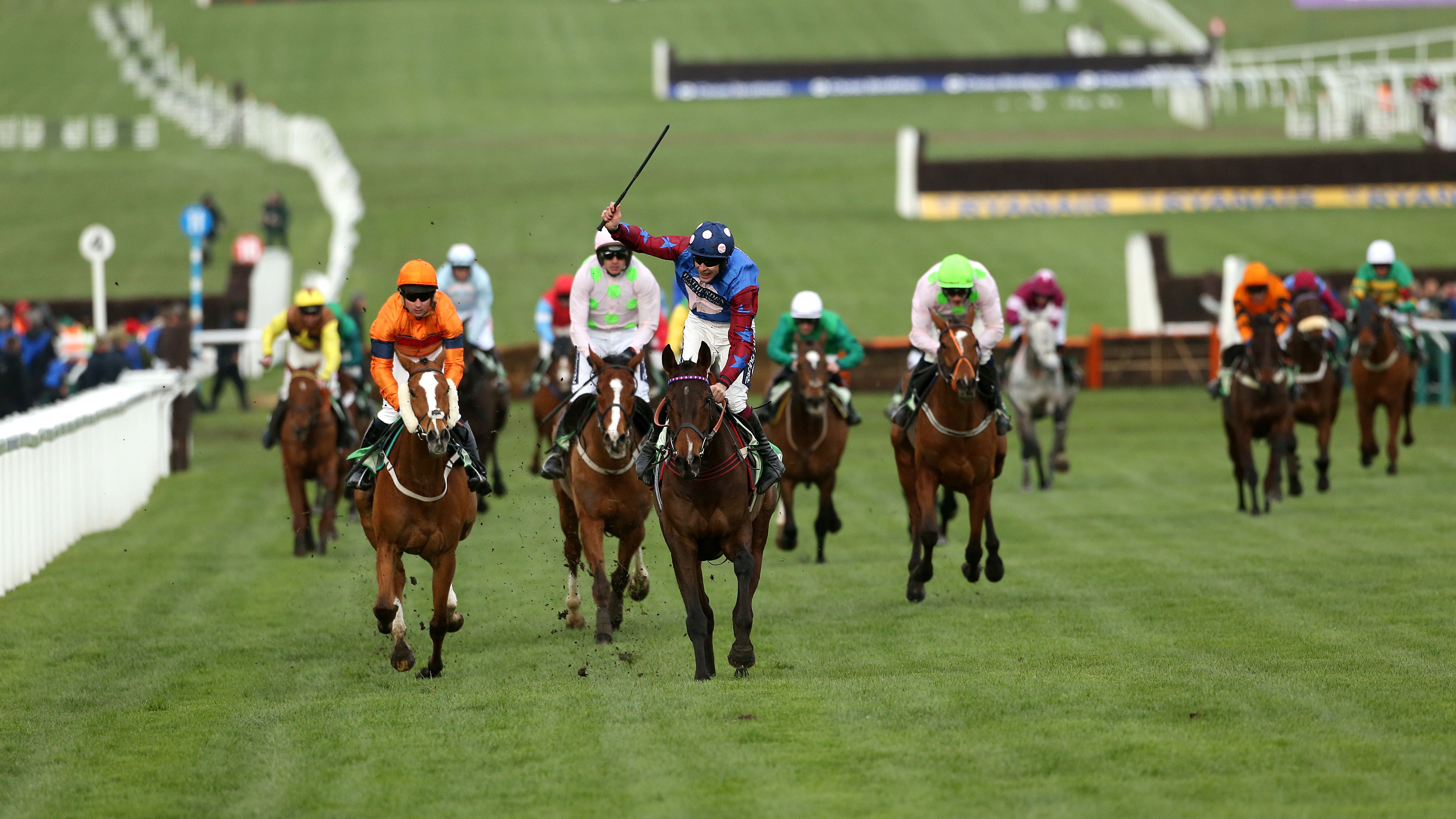 Stayers hurdle betting advice Stayers hurdle betting advice miami heat spread today