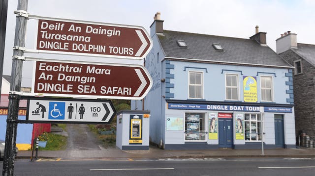 Concerns were raised in the Dingle, Kerry by the absence of beloved dolphin Fungi who was a familiar sight in the waters for 40 years (Niall Carson/PA)