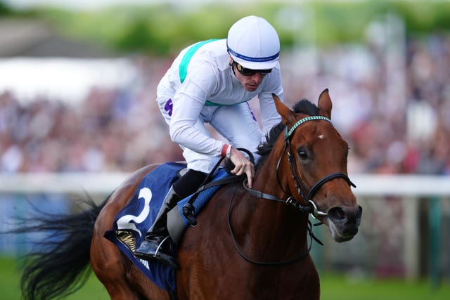 Friendly Soul in action at Newmarket