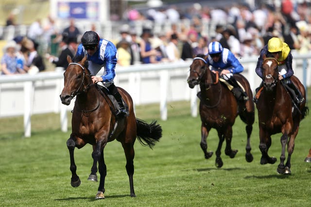 Muhaarar and Dane O'Neill in the Commonwealth Cup