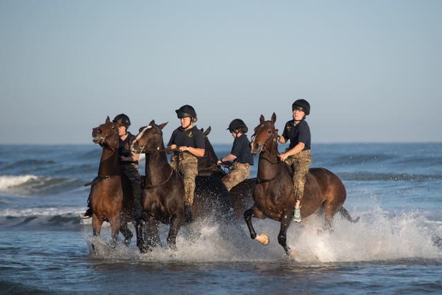 The King’s Troop Royal Horse Artillery in Norfolk