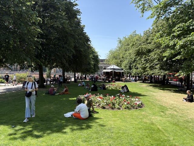 People sitting in the shade of trees in a park area