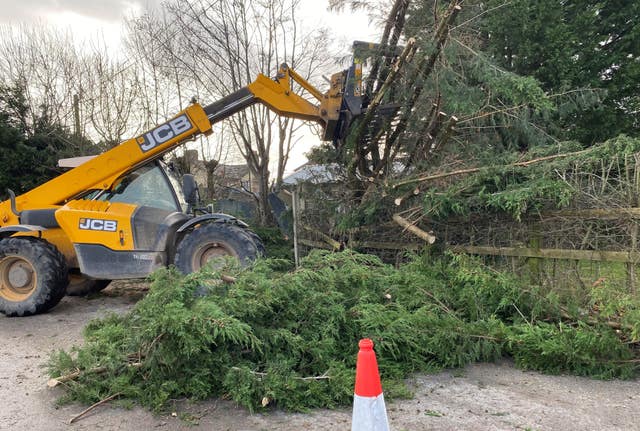 A fallen tree is picked up by a yellow JCB