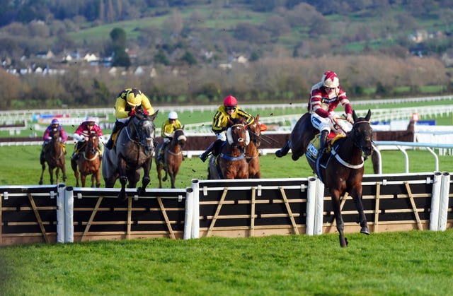 Quantock Hills (right) has winning form at Cheltenham 