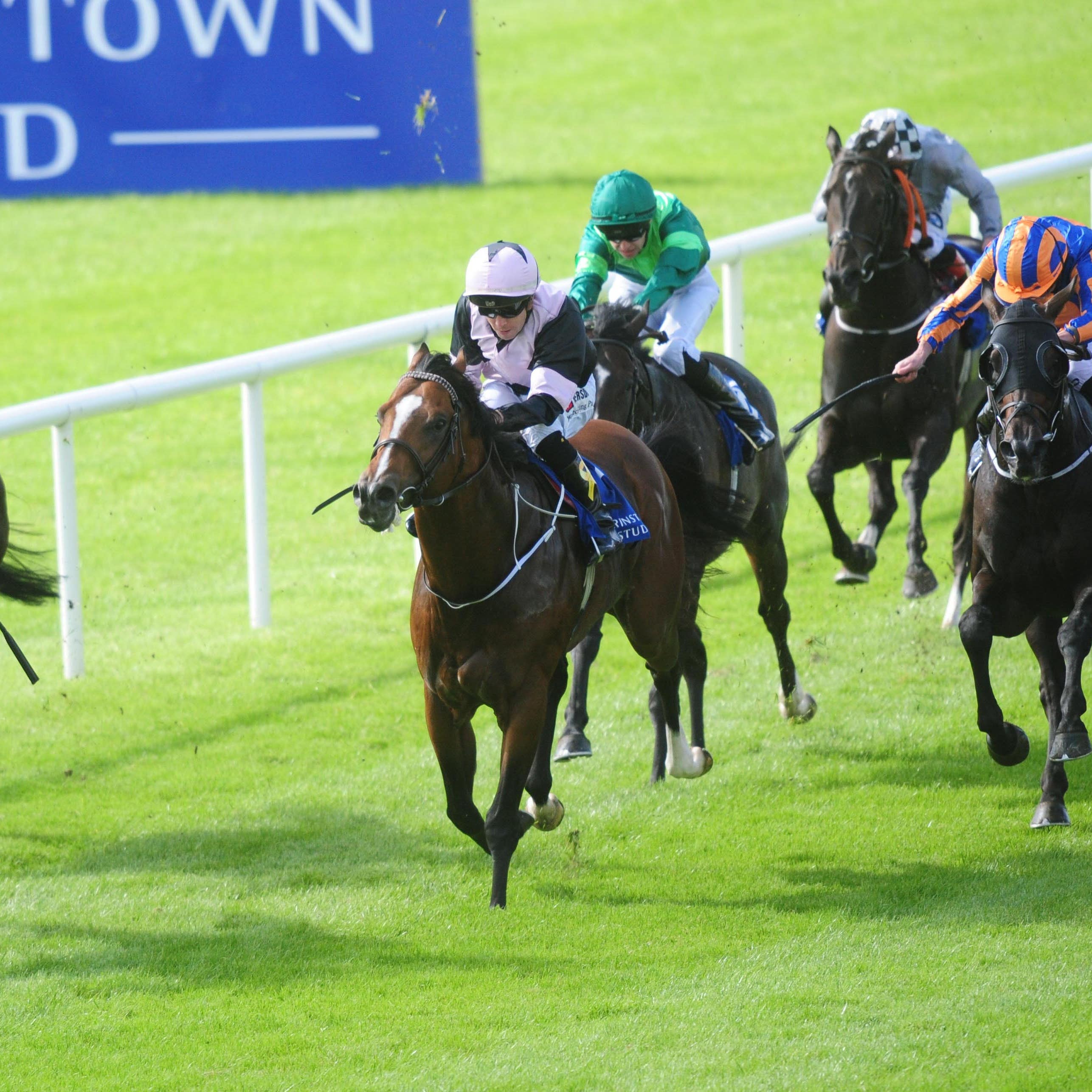 Dundalk winner Hit The Bid was gaining just reward for some big efforts this season
