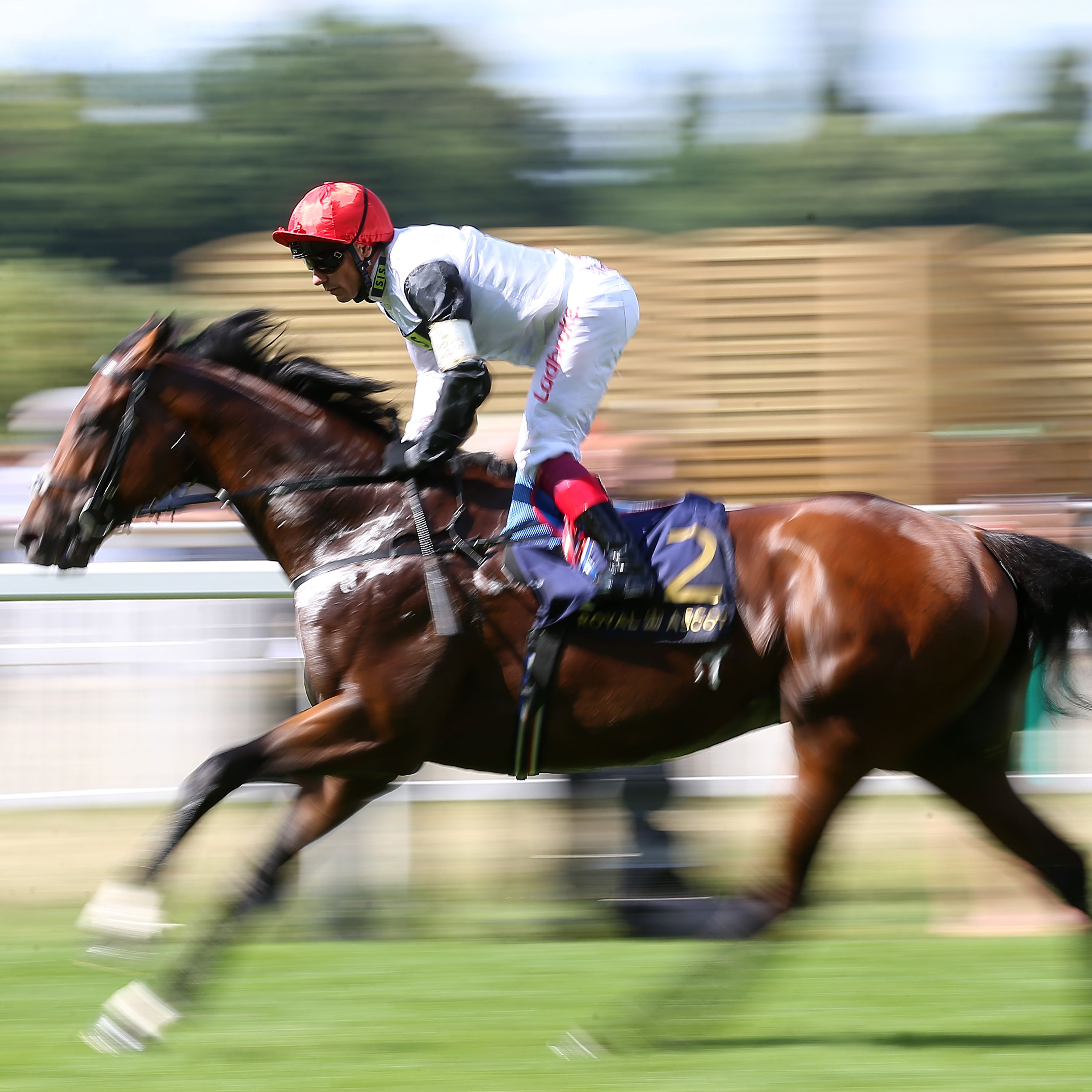 disappointingly beaten in the Prince of Wales’s Stakes at Royal Ascot
