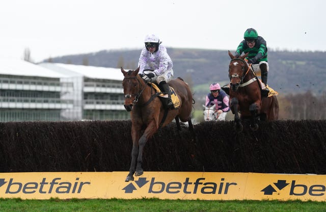 Springwell Bay in action at Cheltenham