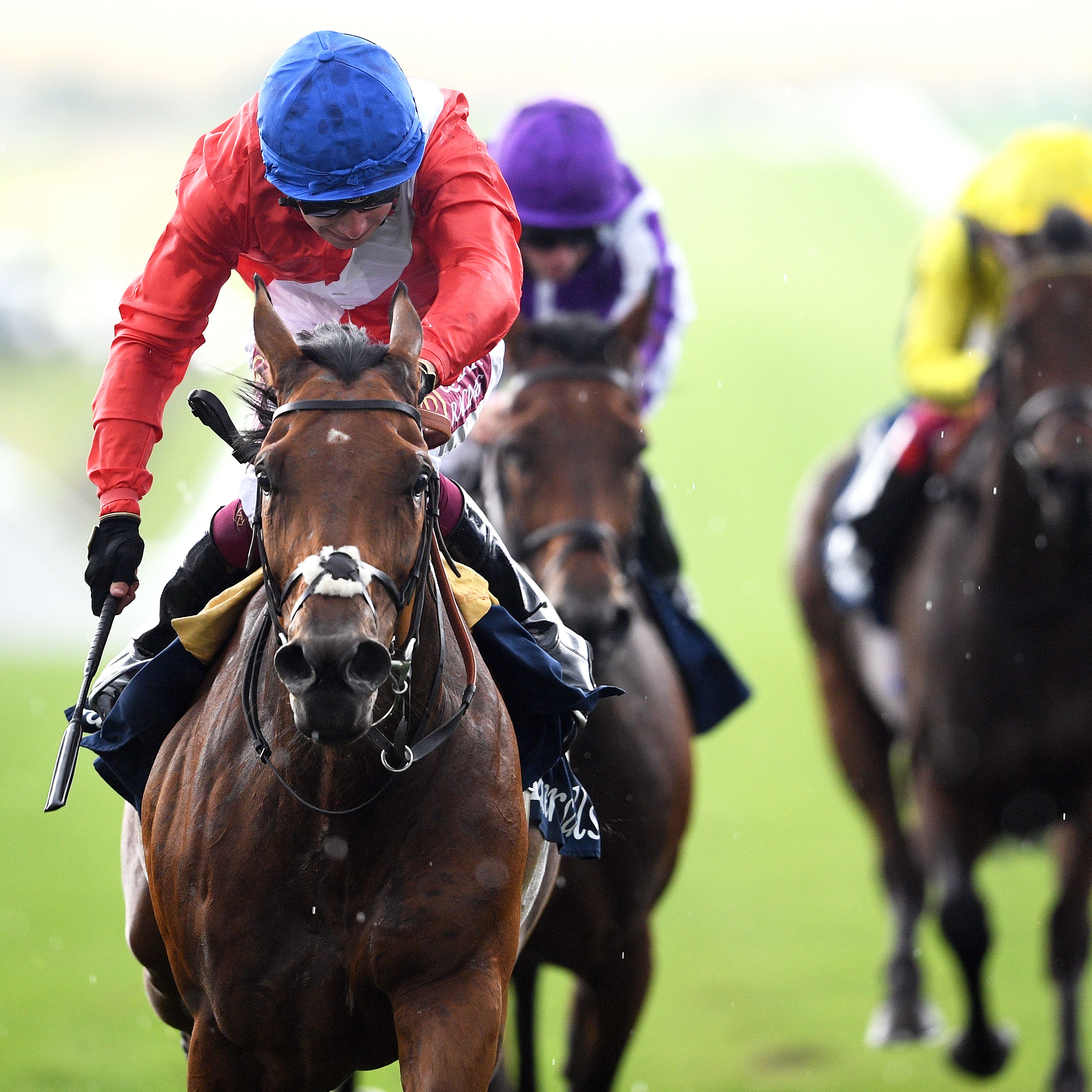 Veracious (left) wins the Falmouth Stakes at Newmarket