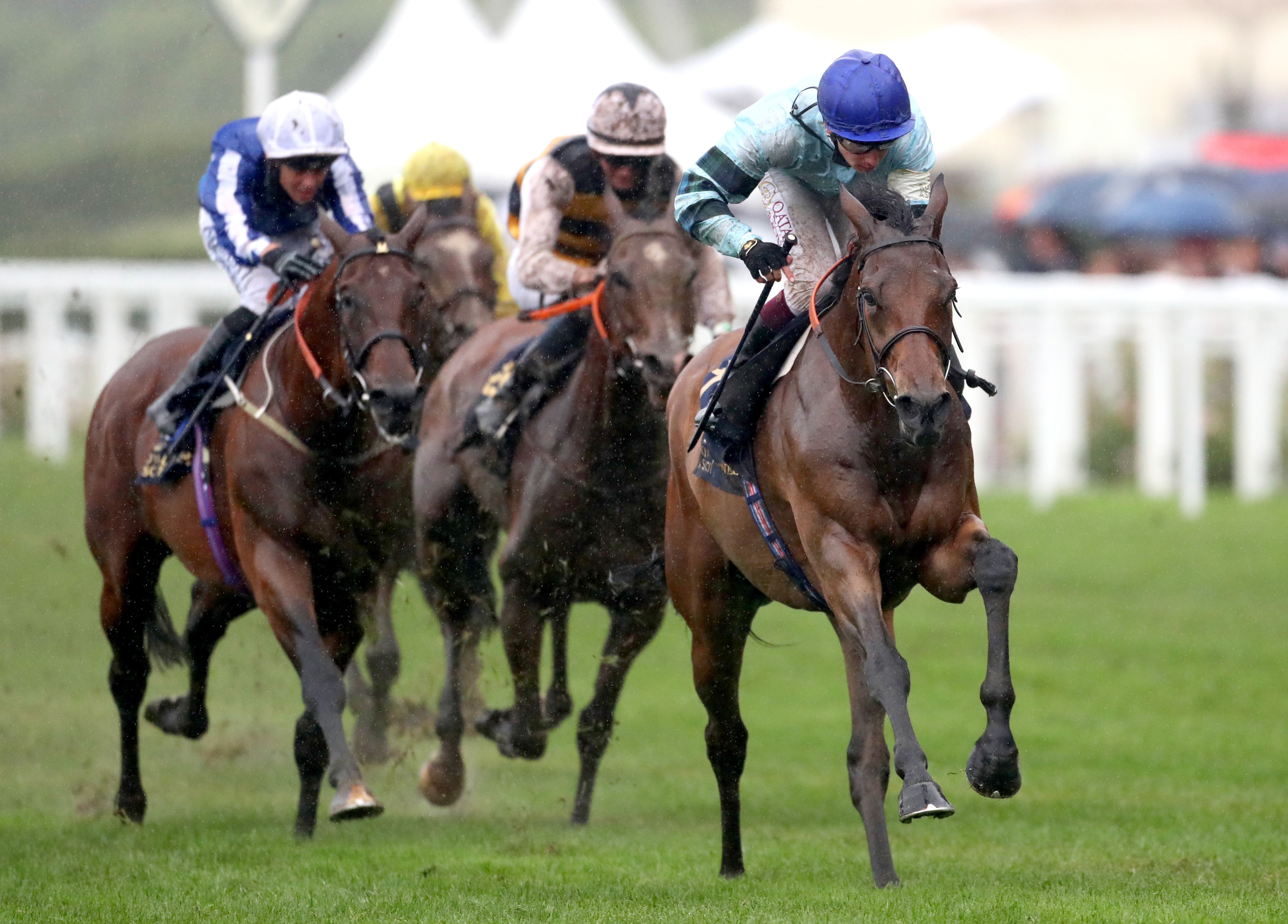 Quickthorn was impressive at Royal Ascot