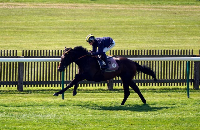 Sakheer having a racecourse gallop at Newmarket