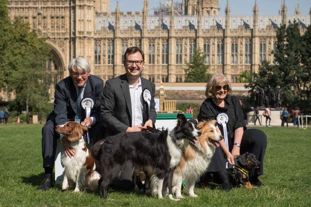 Alex Norris with his dogs Corona and Boomer, second-placed Scarlet belonging to Andrew Mitchell MP, left, and third-placed Gooseberry with Dame Cheryl Gillan