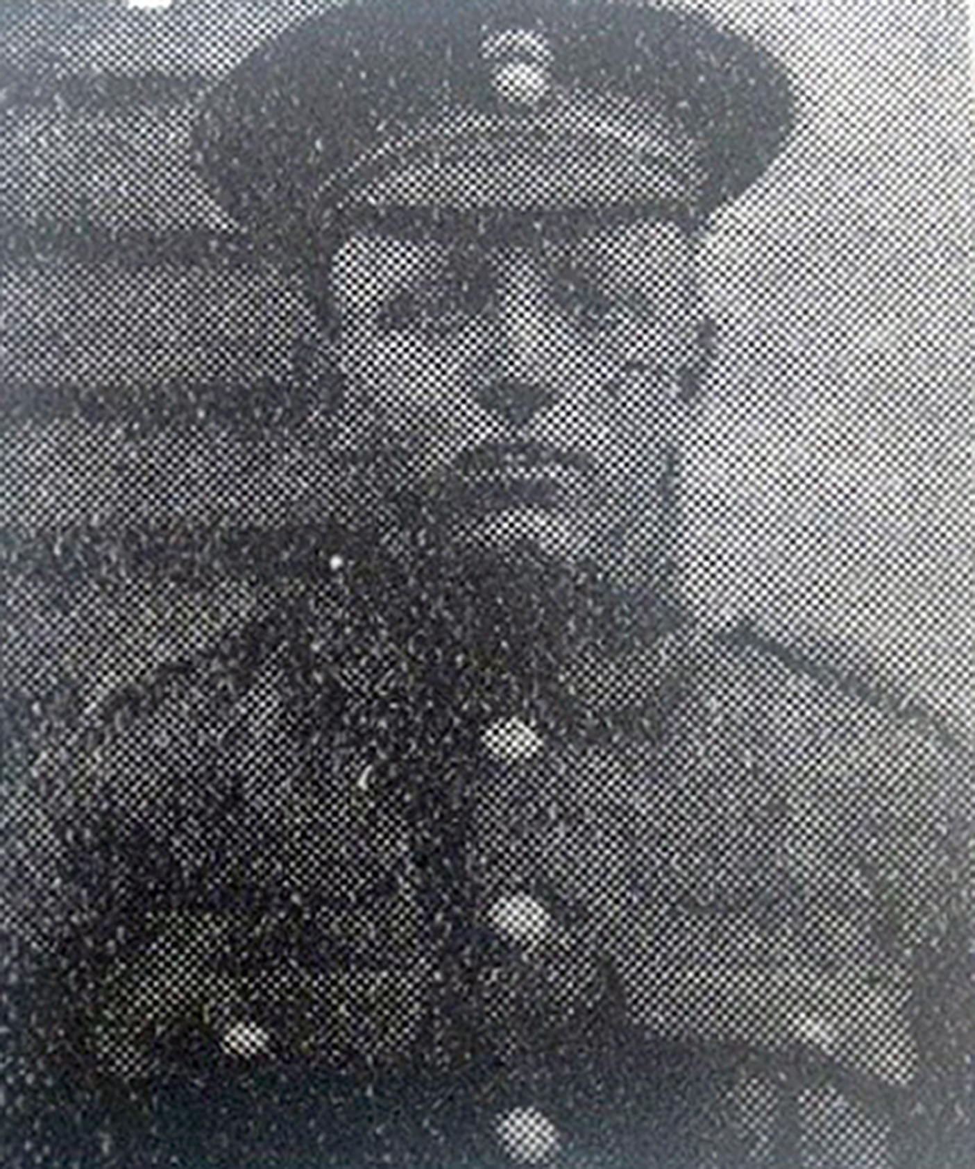 Poet, Steelworker And Father-of-four Among First World War Soldiers ...