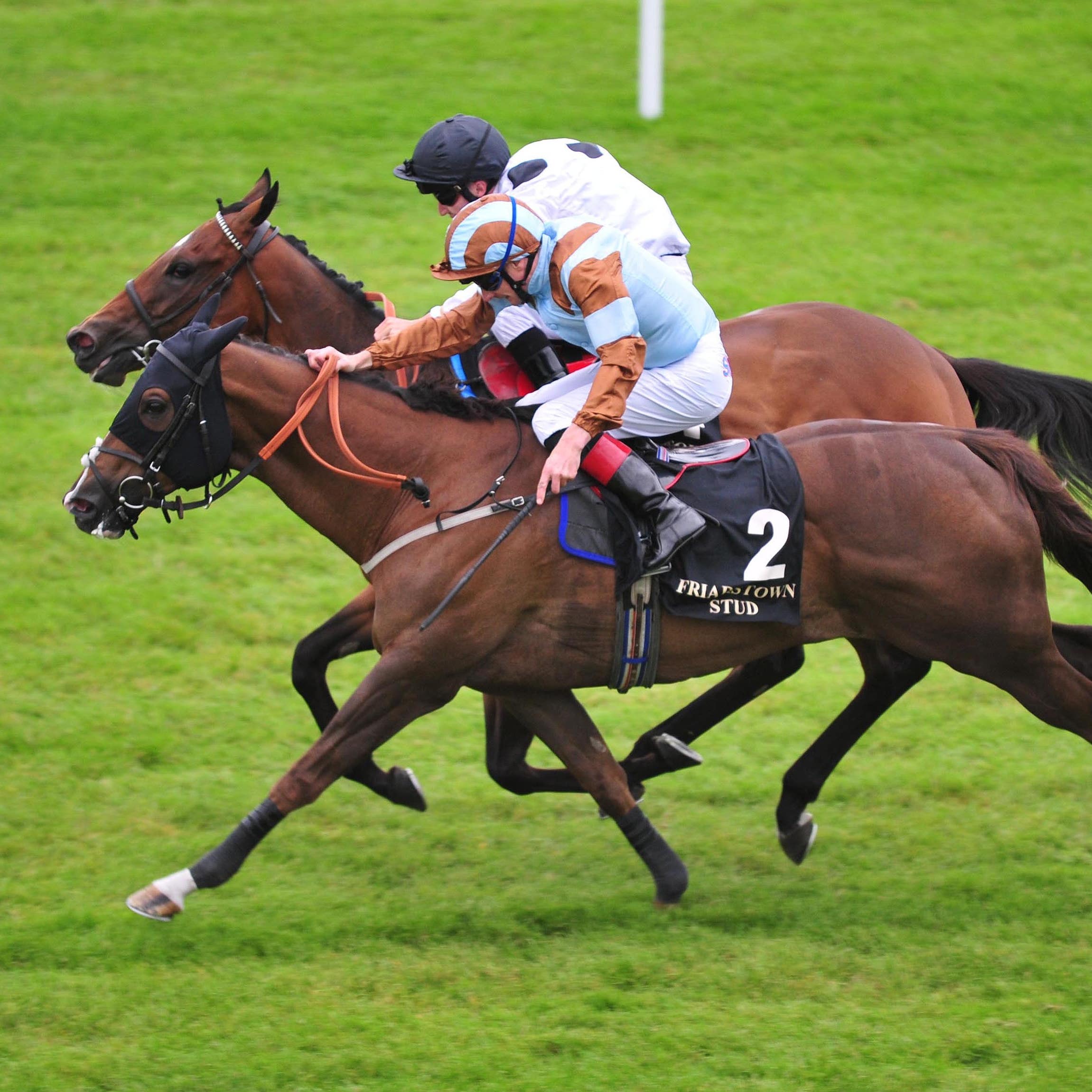 Caspian Prince (front) edges out Marsha in last year's Sapphire Stakes