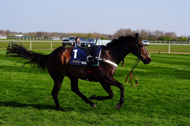 Constitution Hill ran loose but was unscathed following his fall