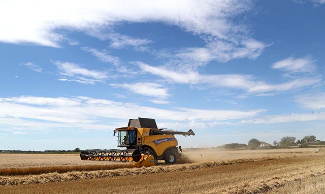 A combine harvester cuts a crop of spring barley in a field