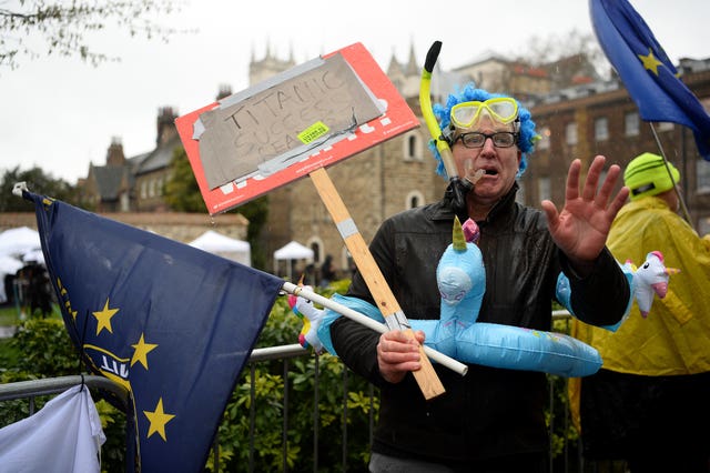 Brexit protester