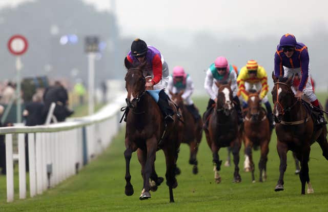 Estimate (left) takes the Gold Cup at Royal Ascot in 2013