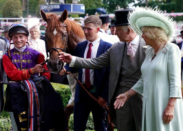 Desert Hero with connections at Royal Ascot 