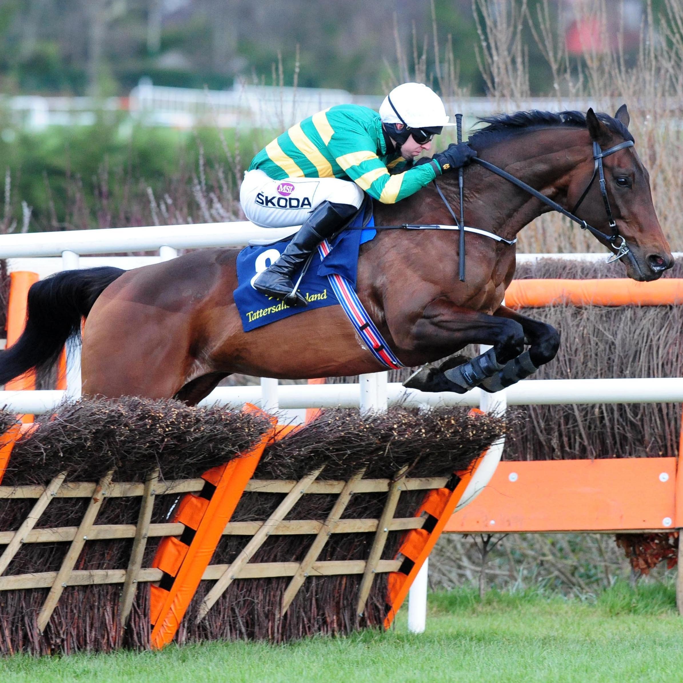 Sir Erec sadly lost his life in the Triumph Hurdle