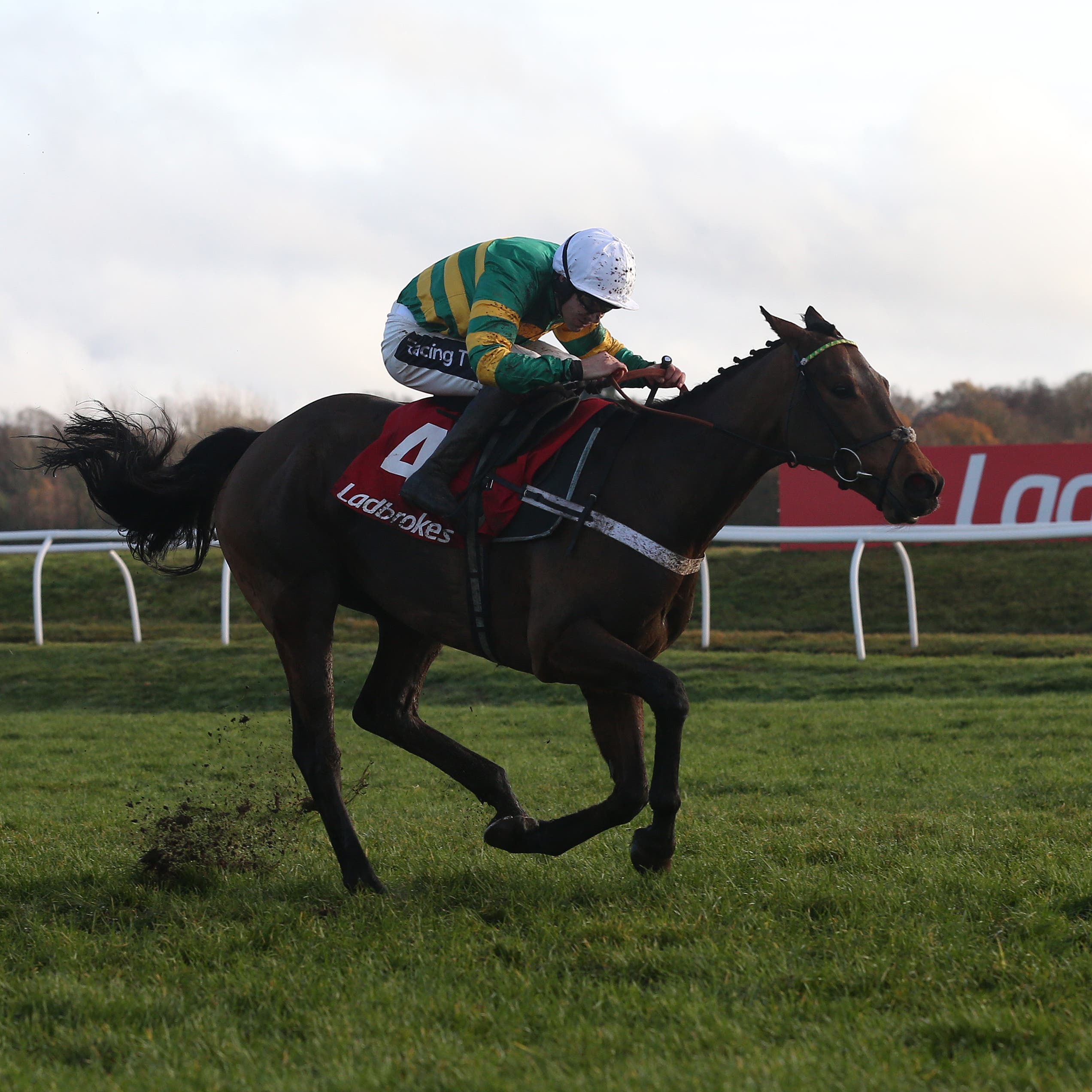 Champ in winning action at Newbury