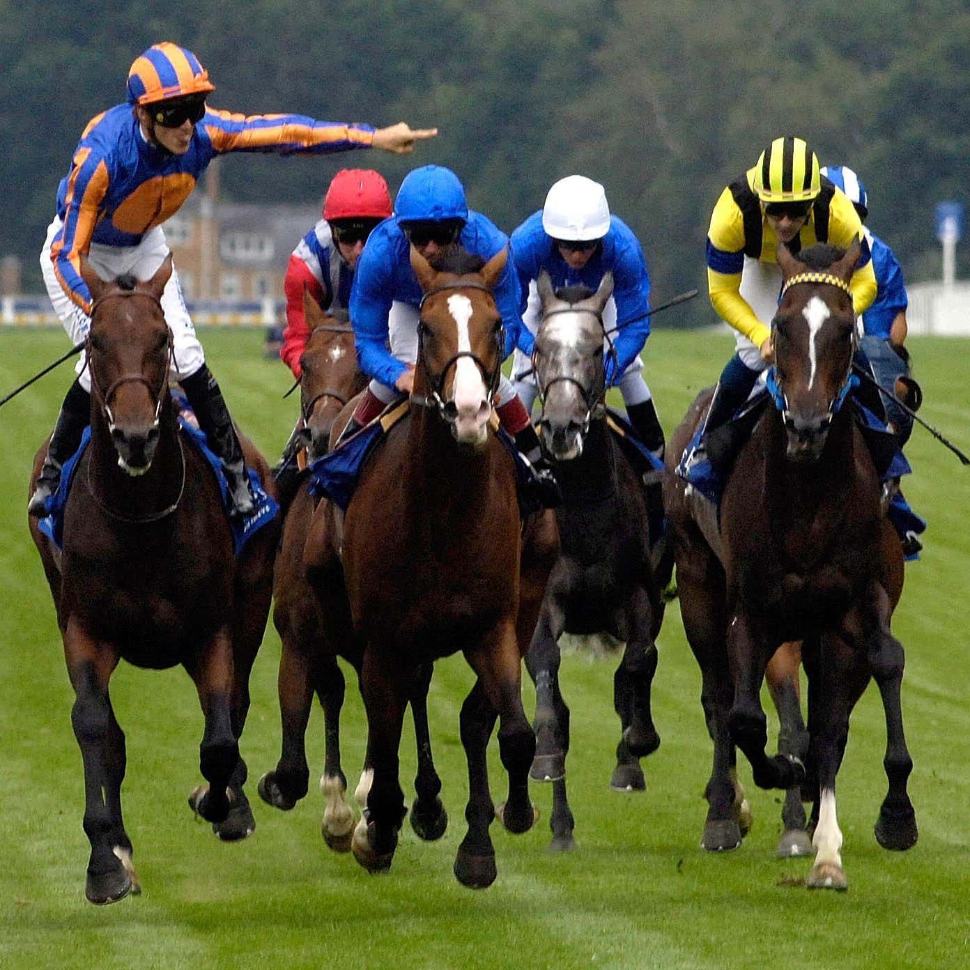 Heart's Cry (right) could not win the King George but can his son, Cheval Grand?
