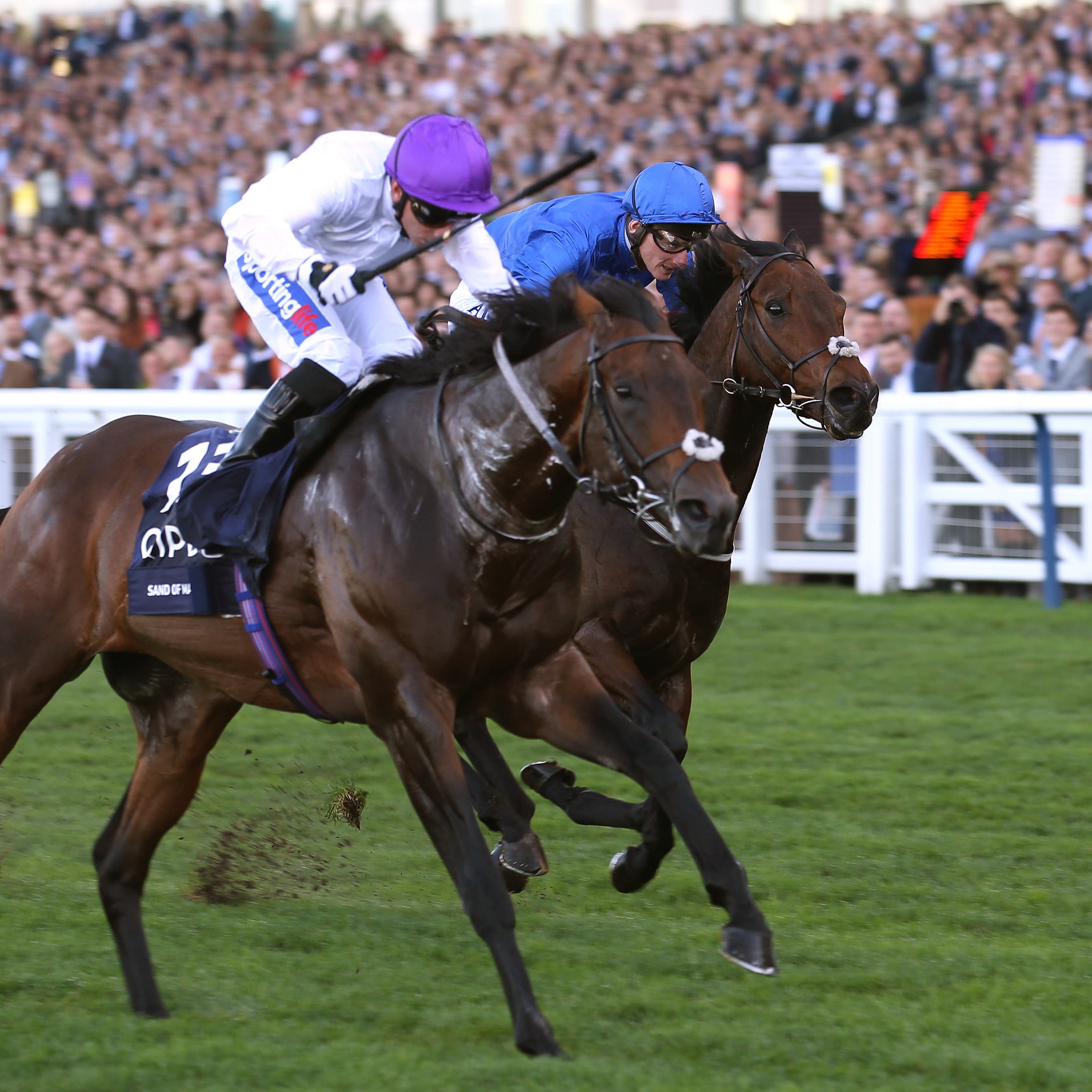 Sands Of Mali and Paul Hanagan win the British Champion Sprint Stakes at Ascot