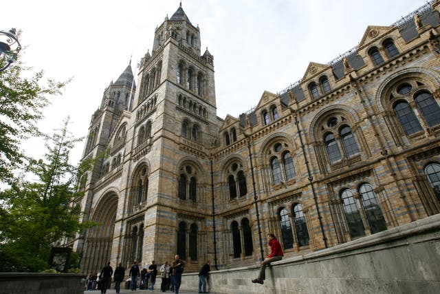 Ljungberg married Natalie Foster at London's Natural HIstory Museum.