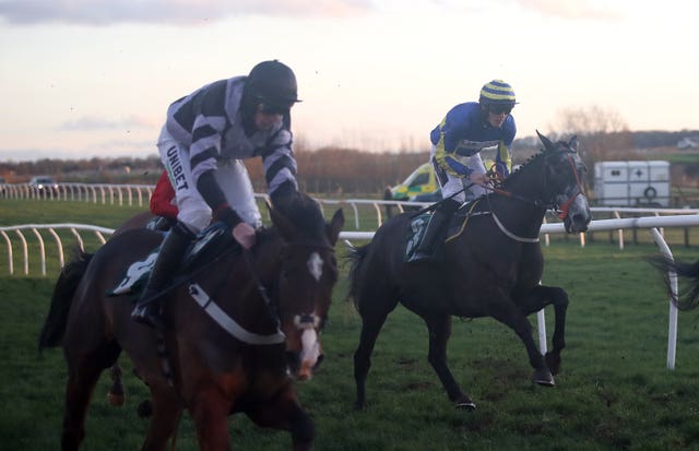 Burrow Seven (right) could have his next outing at Hexham 
