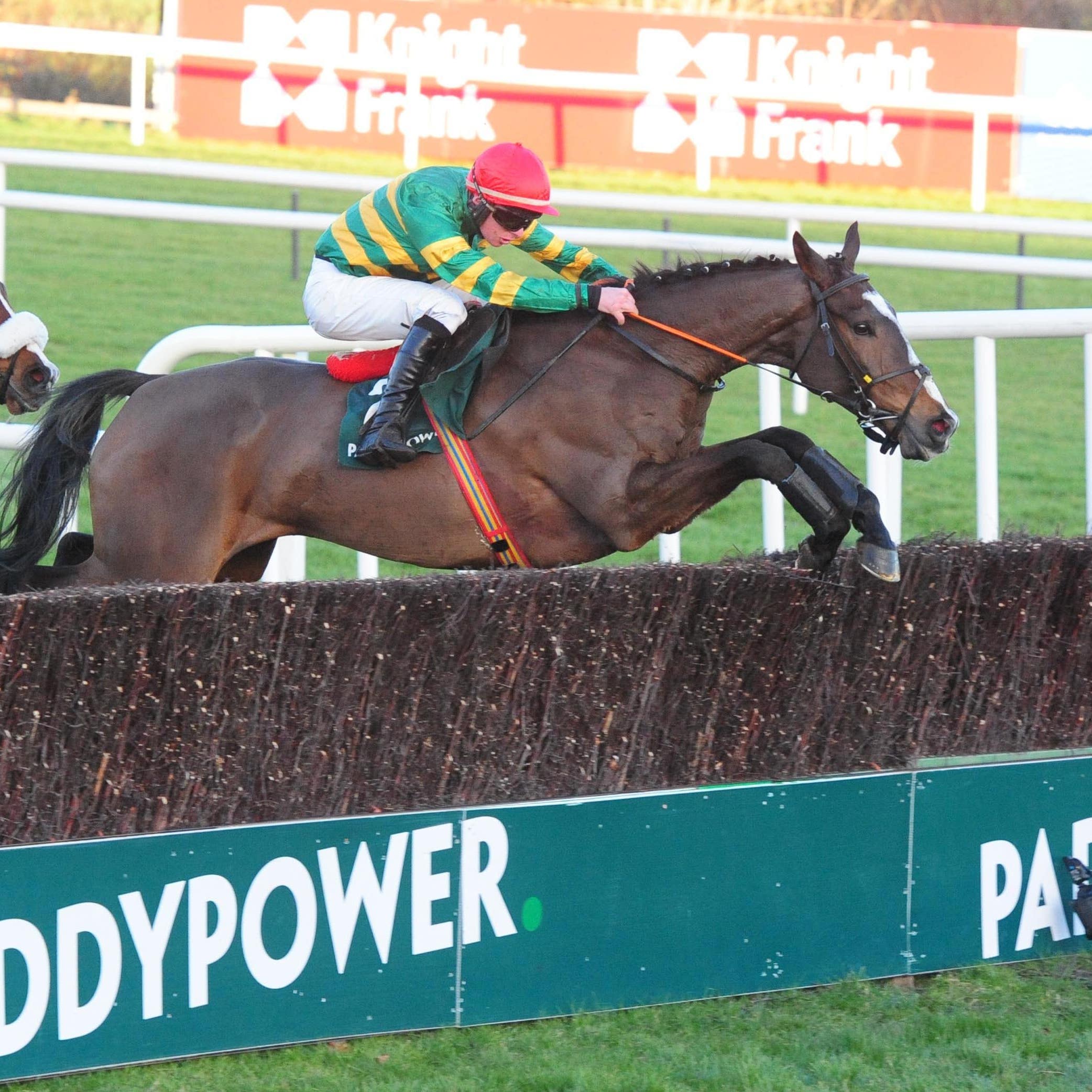 Anibale Fly winning at Leopardstown last Christmas