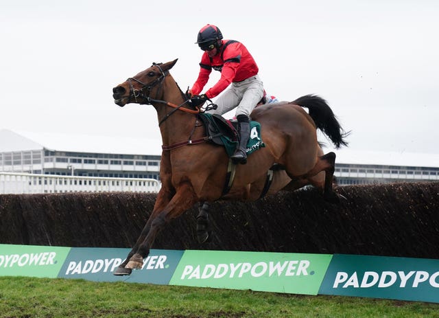 Festival Trials Day – Cheltenham Racecourse – Saturday 28th January