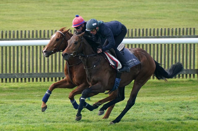 Cicero’s Gift (right) in a gallop on the Rowley Mile