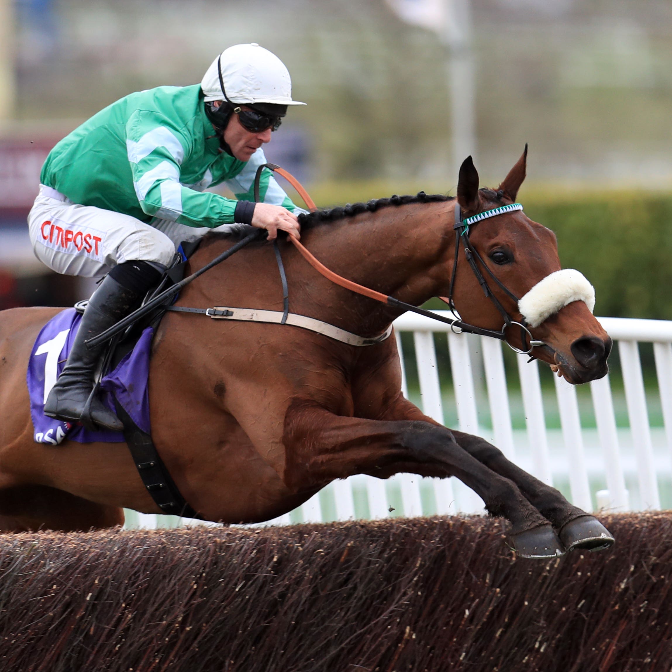 Presenting Percy on his way to winning at Cheltenham