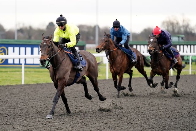 Nico de Boinville and Constitution Hill stretch clear at the end of their workout 