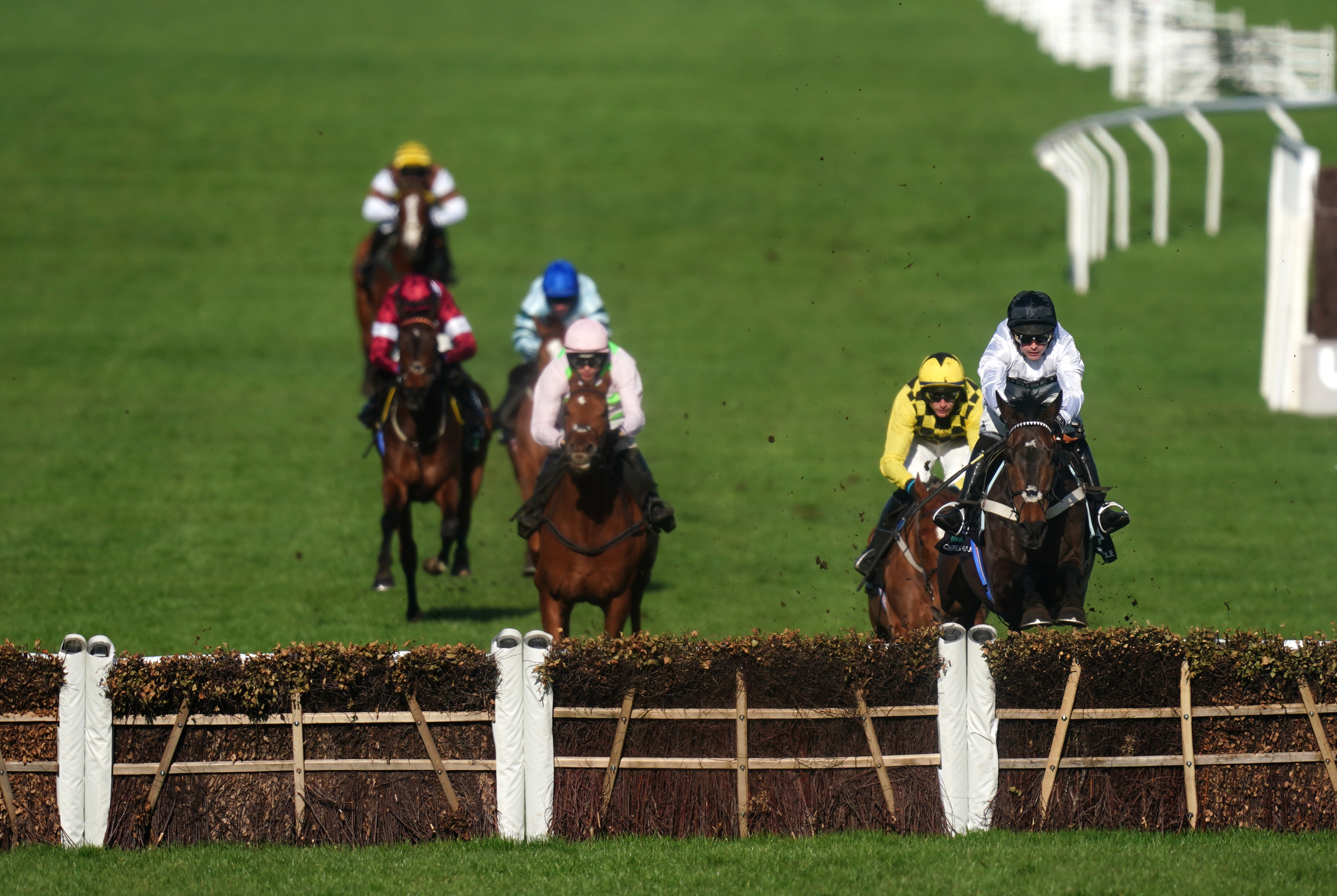 Constitution Hill (front right) had his Cheltenham rivals well beaten