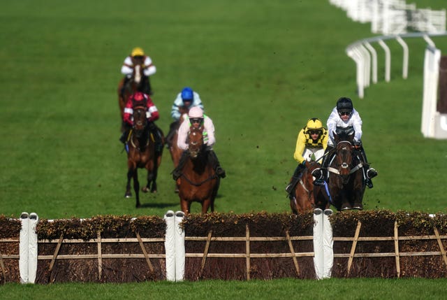 Constitution Hill (front right)  had his Cheltenham rivals well beaten