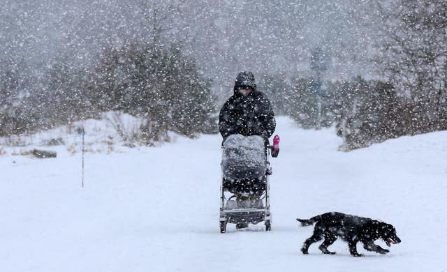 Dog-walking in Eshiels, Scottish Borders 