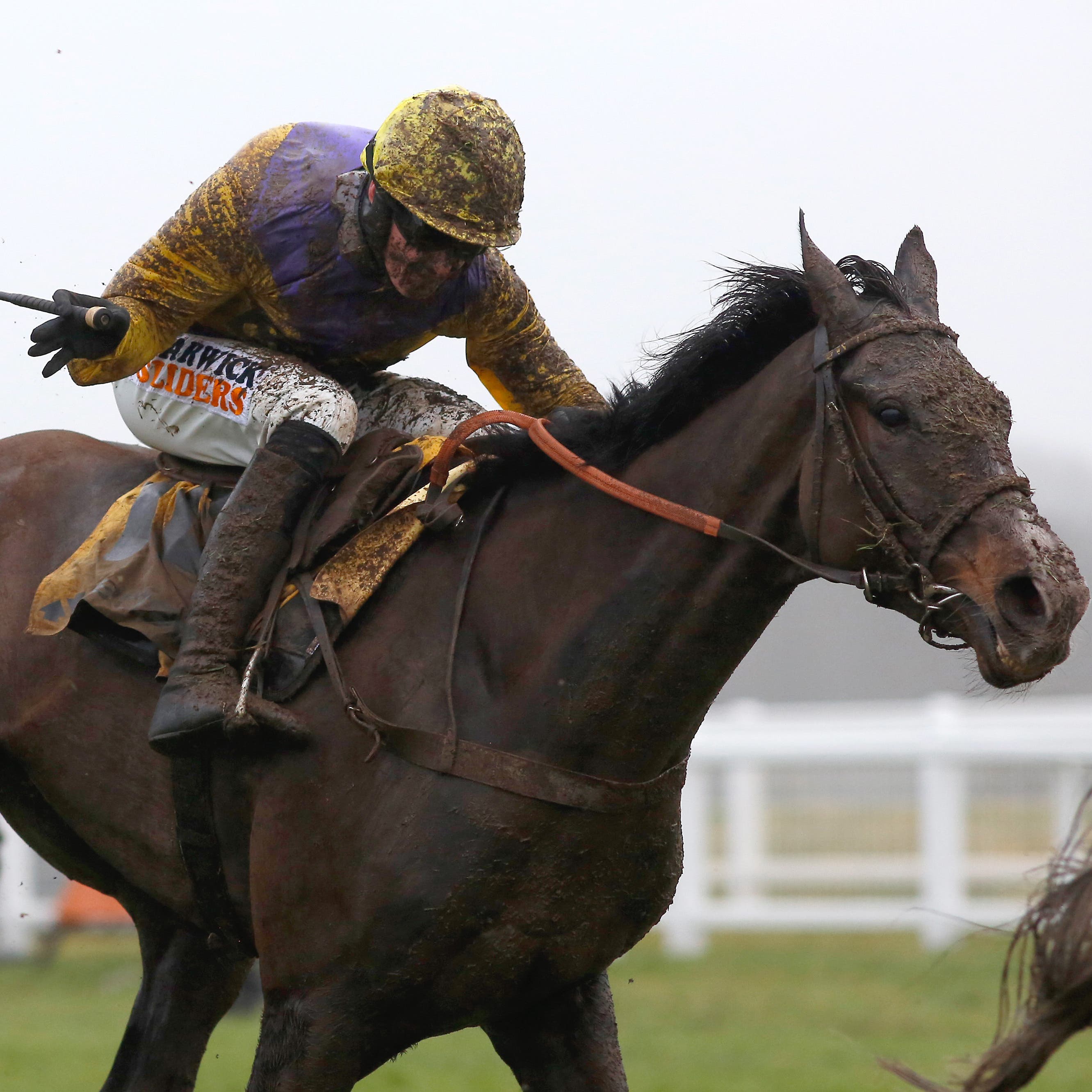 Kalashnikov is the star attraction at Plumpton on Monday