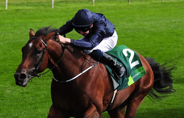 Declaration Of War and Joseph O'Brien in action