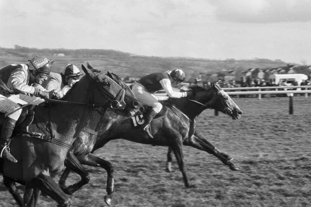 Kribensis was a hurdling star for Stoute