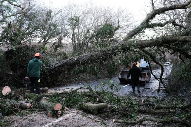 A fallen tree was cleared from a road