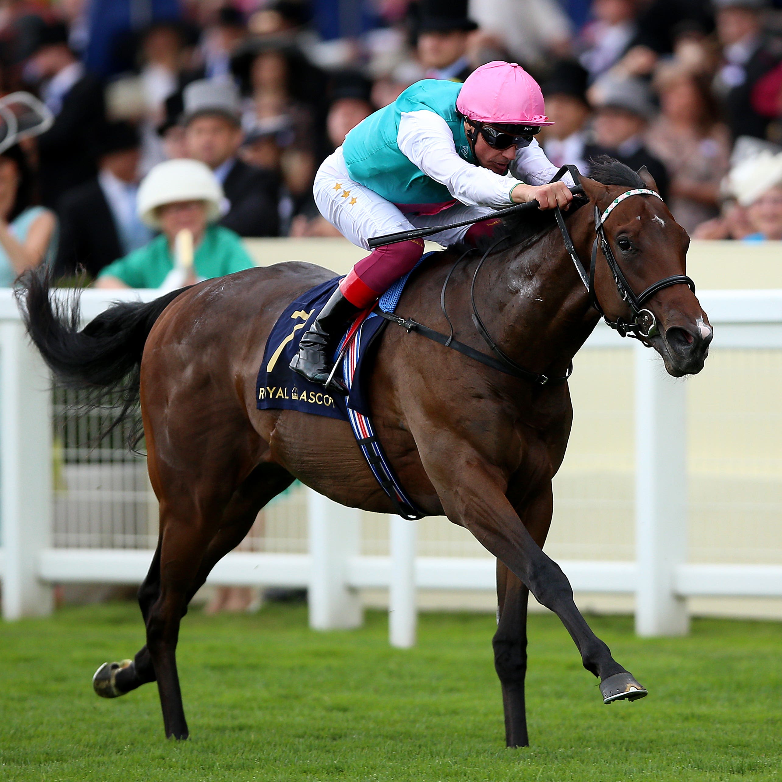 Calyx wins the Coventry Stakes at Royal Ascot