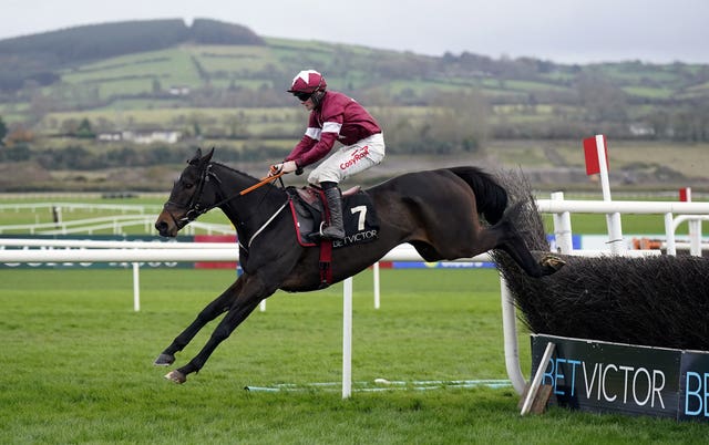 Gordon Elliott believes Touch Me Not could outrun his odds